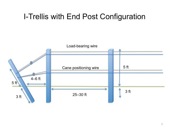 Thumbnail image for Trellis Systems